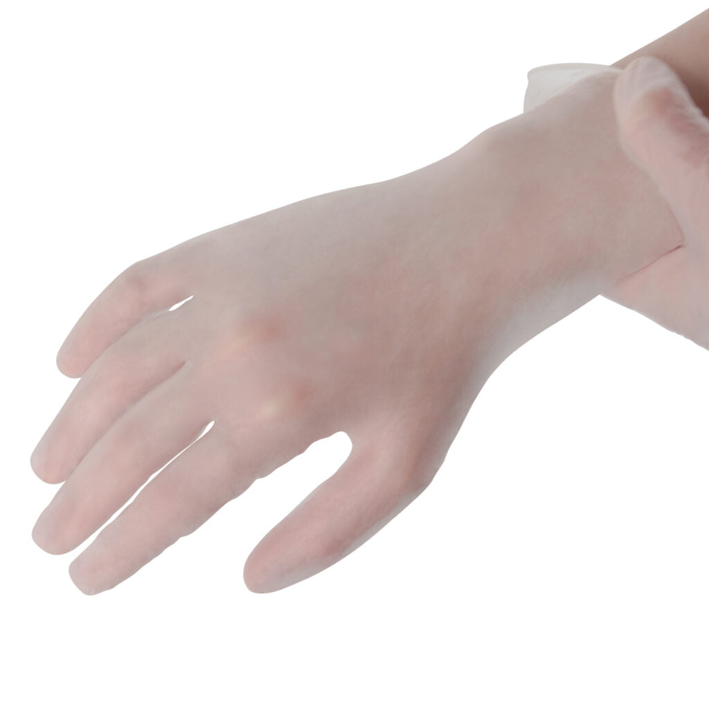 Vinyl Gloves Powder Free Large - 100 Count - The Closeout Connection