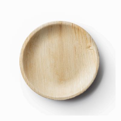 Palm Leaf Collection Eco-Friendly Buffet Plates