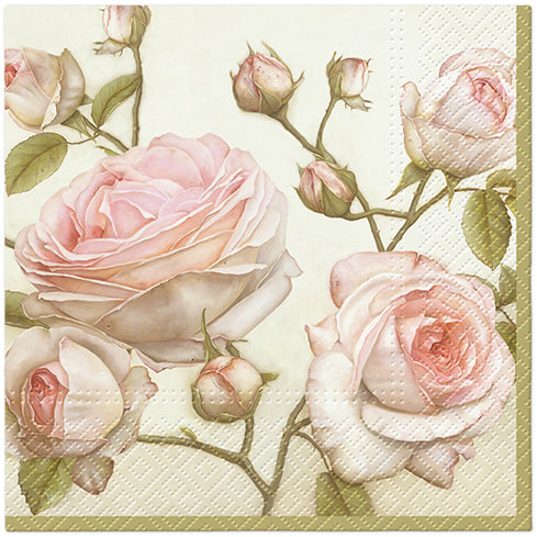 Beauty Roses Lunch Napkin - 20 Count - The Closeout Connection