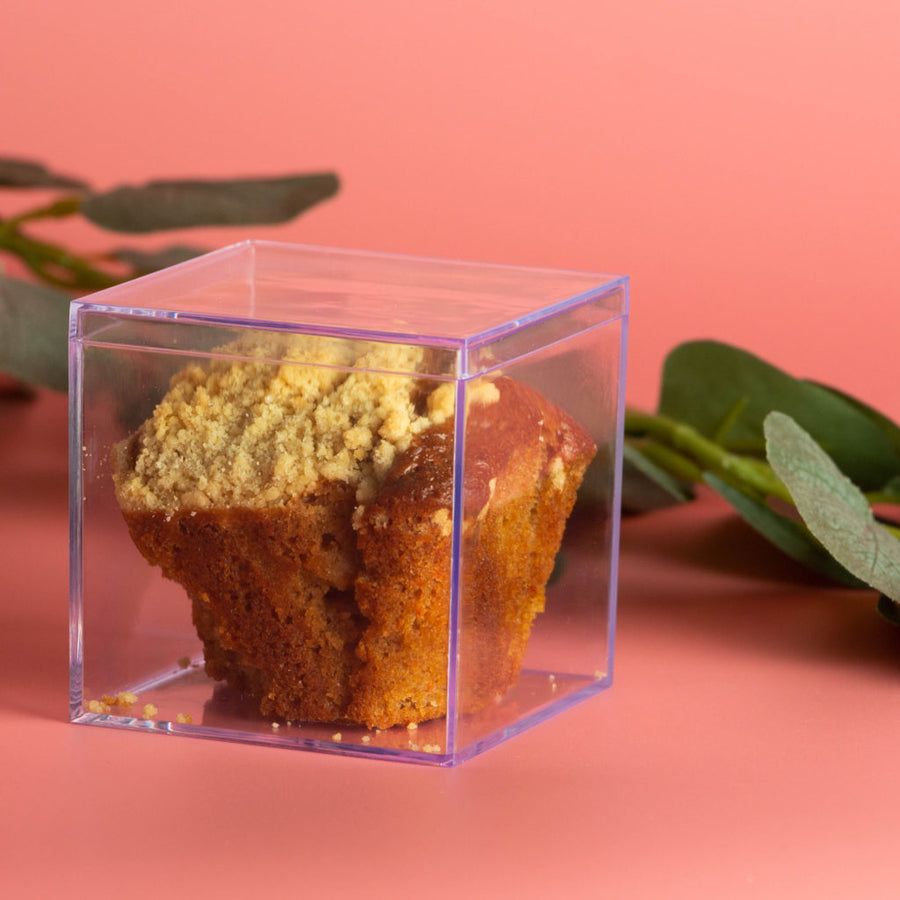 MiniWare Clear Square Boxes W/ Lids 12/4ct - The Closeout Connection