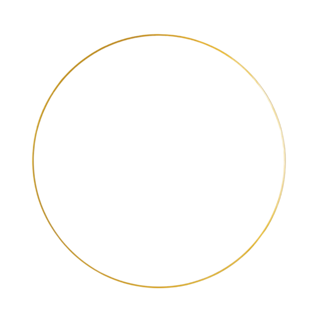 White with Gold Rim Chargers- 4 Count