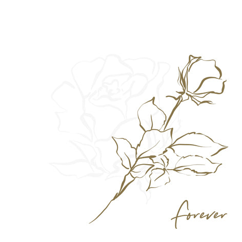 Forever in My Heart Lunch Napkin - 20 Count - The Closeout Connection