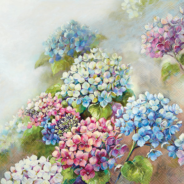 Hydrangea Shades Lunch Napkin - 20 Count - The Closeout Connection