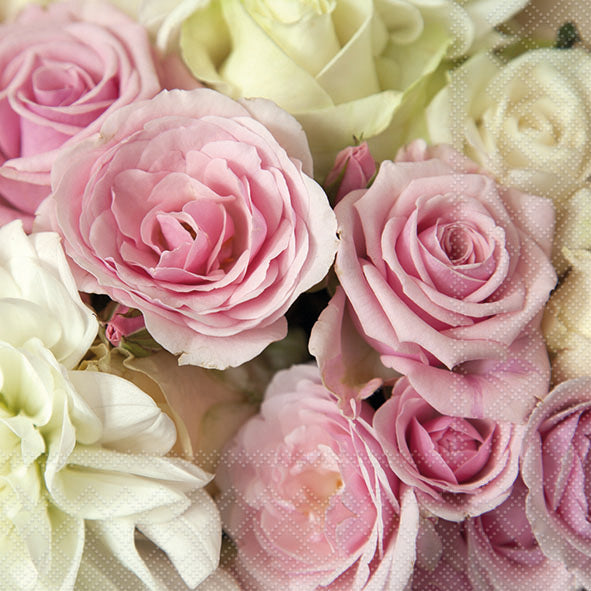 Madison Lunch Napkin - 20 Count