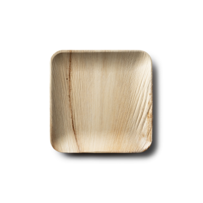 Palm Leaf Square Collection