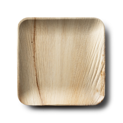 Palm Leaf Square Collection - The Closeout Connection