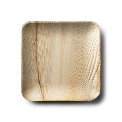 Palm Leaf Square Collection