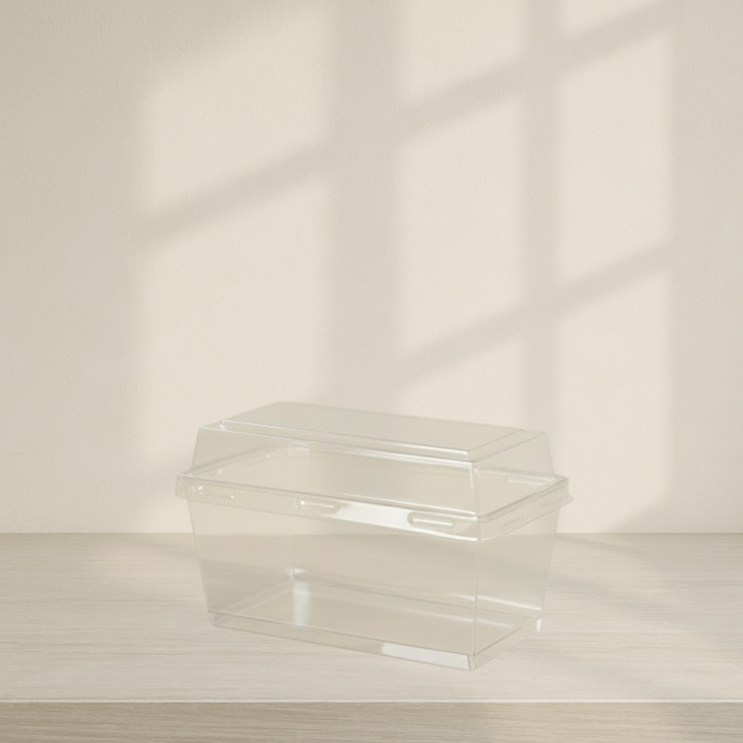 Rectangle Dish With Lid - 10 Count