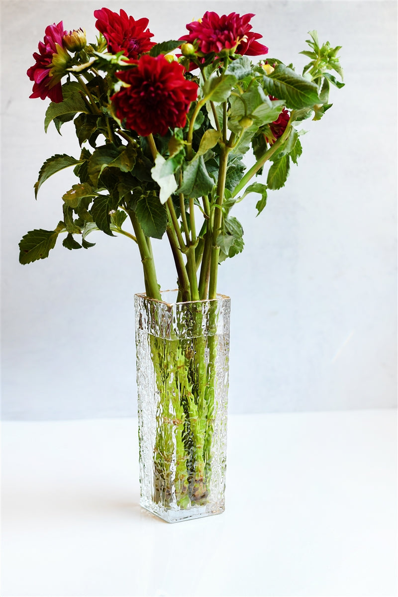 Clear Vase with Gold Rim