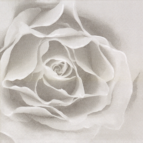 Rose Lunch Napkins - 20 Count