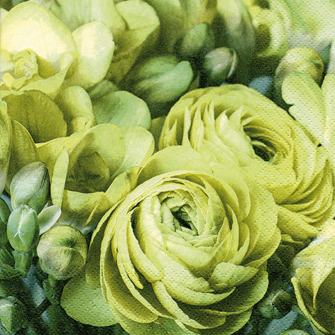 Freesia & Persian Buttercup Lunch Napkin - 20 Count