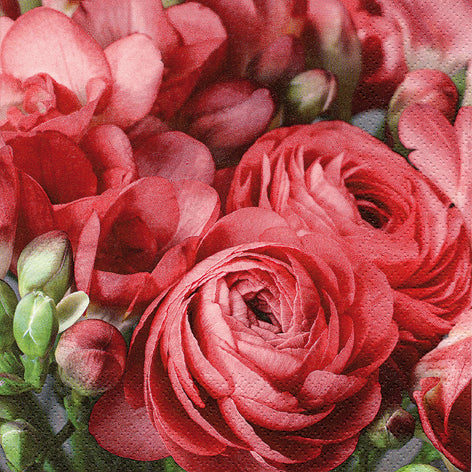 Freesia & Persian Buttercup Lunch Napkin - 20 Count