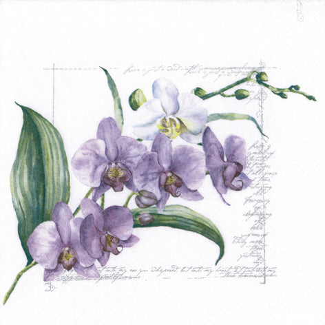 Orchidee Lunch Napkin - 20 Count - The Closeout Connection