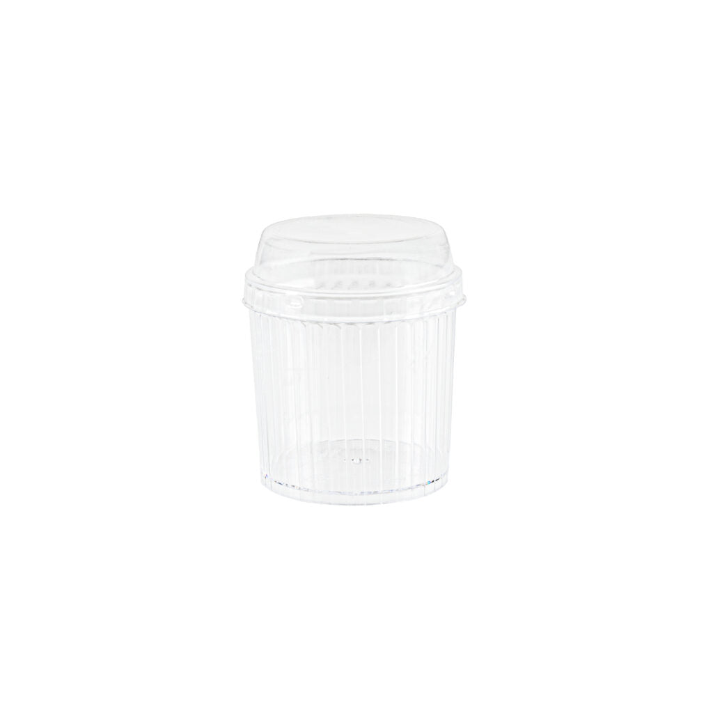 Striped Cups with Lids Clear 4 oz - 6 Count
