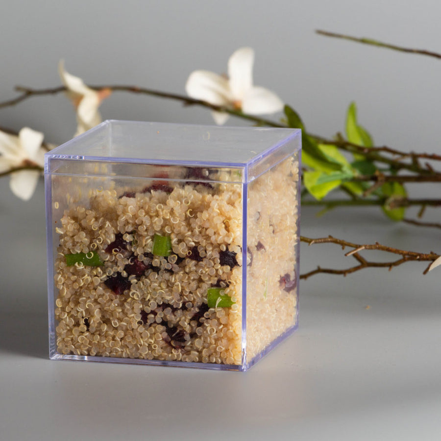 MiniWare Clear Square Boxes W/ Lids 12/4ct - The Closeout Connection