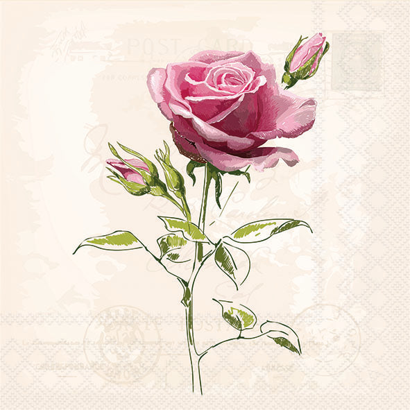 Vintage Rose Lunch Napkin - 20 Count - The Closeout Connection