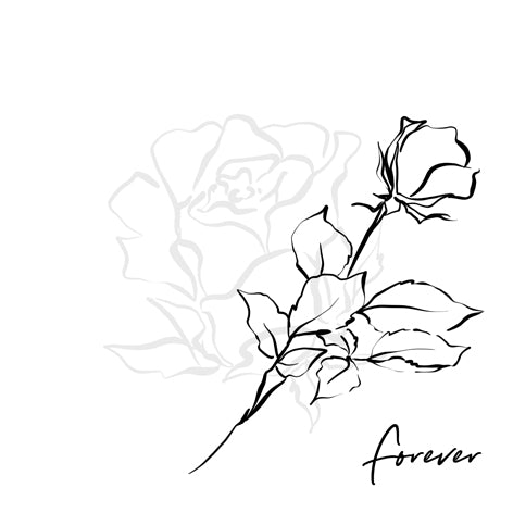 Forever in My Heart Lunch Napkin - 20 Count - The Closeout Connection