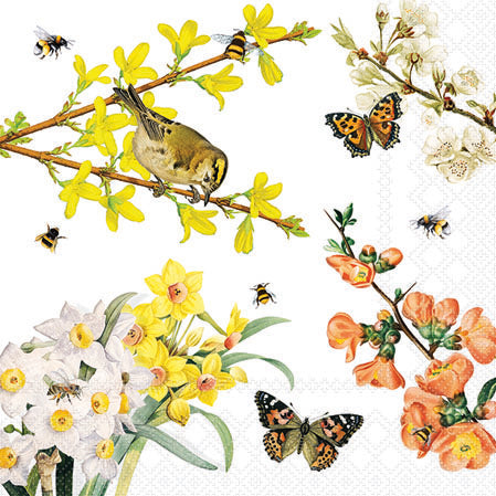 Spring Awakening Cocktail Napkin - 20 Count