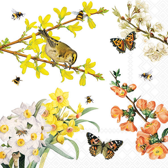 Spring Awakening Lunch Napkin - 20 Count - The Closeout Connection