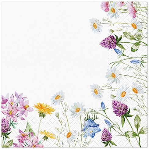 Spring Frame Lunch Napkin - 20 Count
