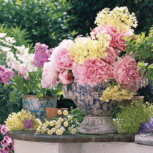 Potted Flowers Lunch Napkin - 20 Count - The Closeout Connection