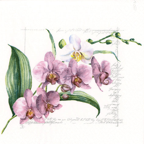 Orchidee Lunch Napkin - 20 Count - The Closeout Connection