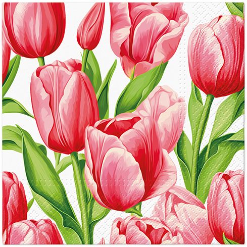 Tulip Time Lunch Napkin - 20 Count