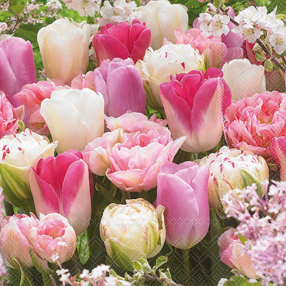 Pink Tulips Lunch Napkin - 20 Count - The Closeout Connection