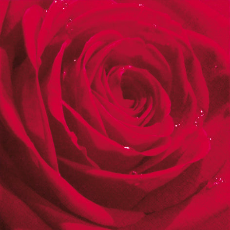 Red Belle Rose du Martin Lunch Napkin - 20 Count - The Closeout Connection
