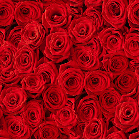 Beacoup de Roses Lunch Napkin - 20 Count