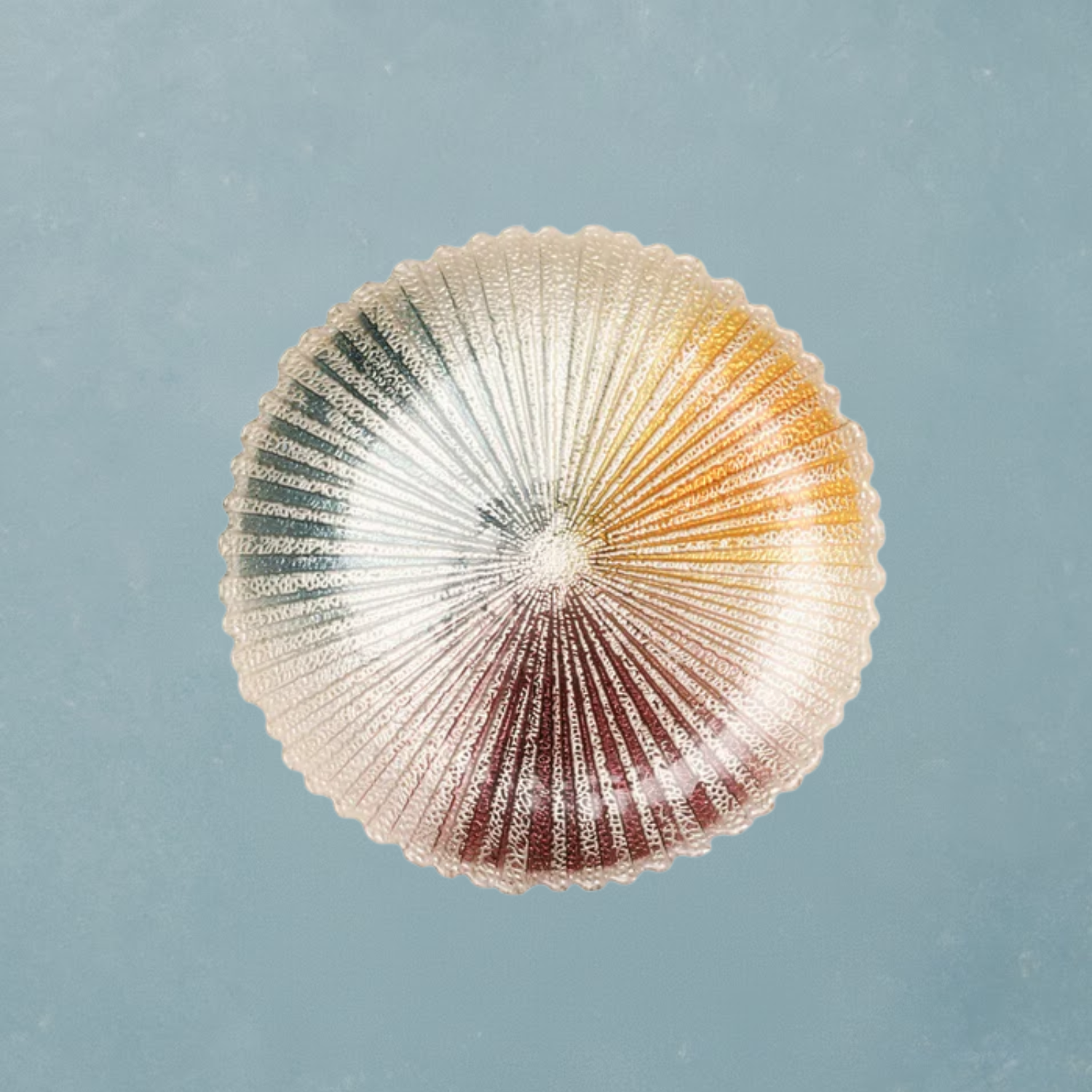 10" Colorful glass plate