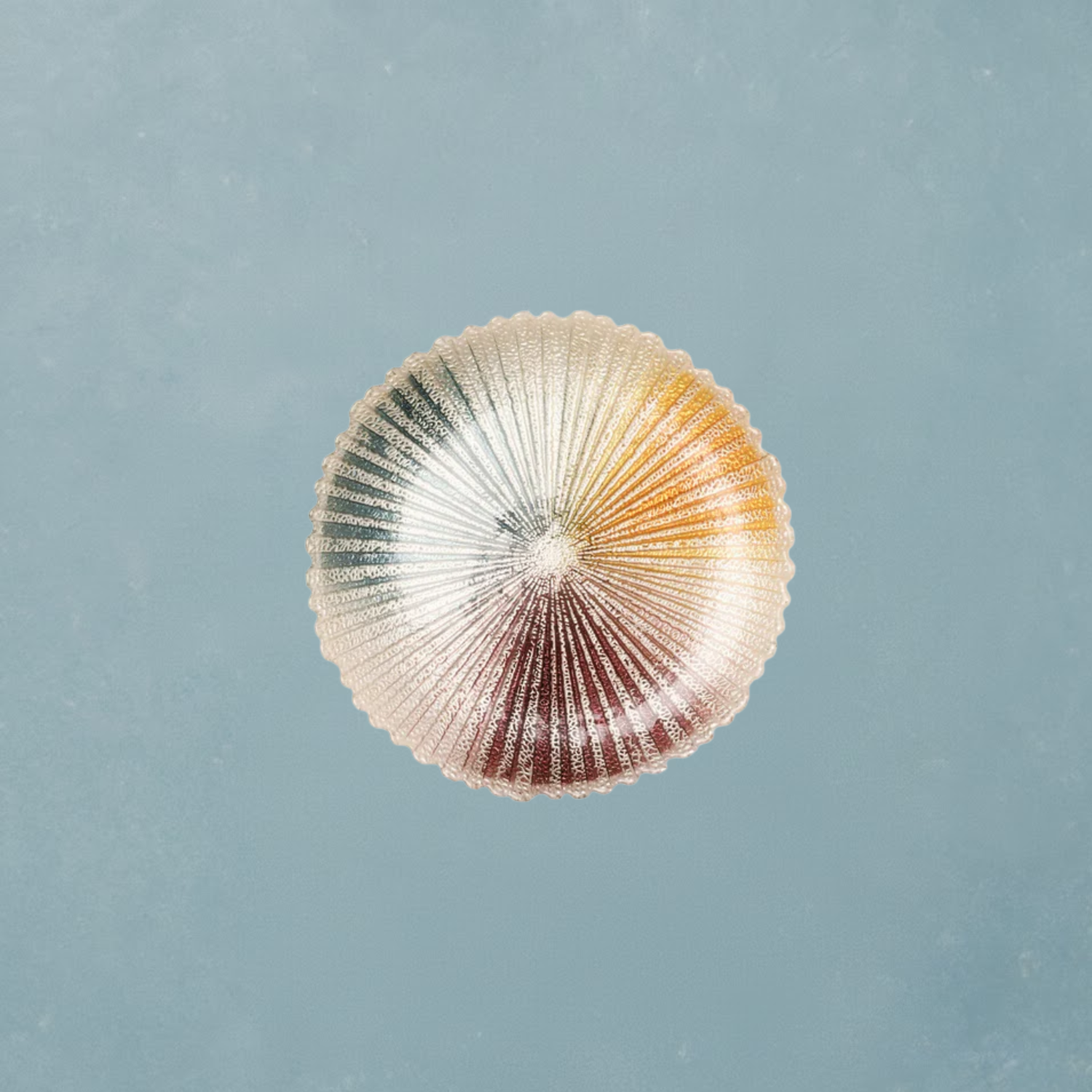 Colorful Glass plate 6"