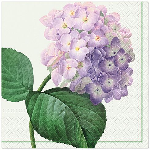 Vintage Hydrangea Lunch Napkin - 20 Count