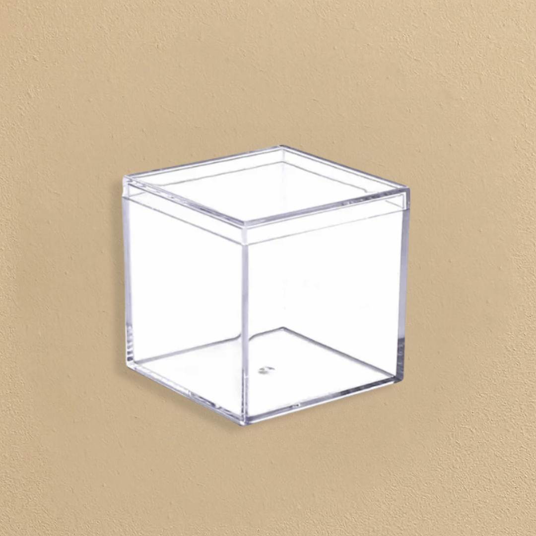 Clear Square Boxes with Lids - 6 Count