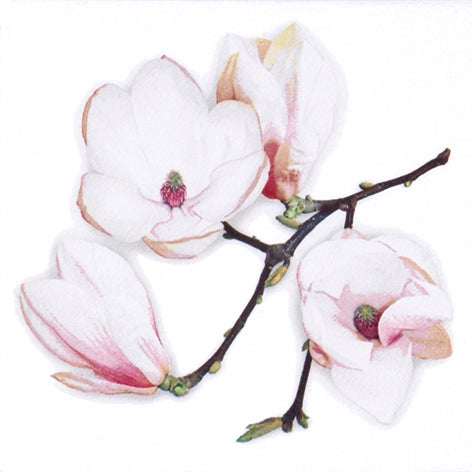 White magnolia Lunch Napkin - 20 Count - The Closeout Connection