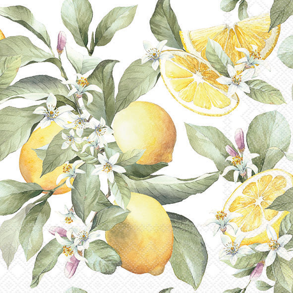 Limoni Lunch Napkin - 20 Count