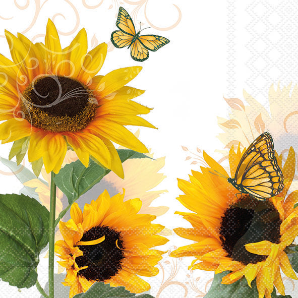 Sunny Butterfly Lunch Napkin - 20 Count - The Closeout Connection