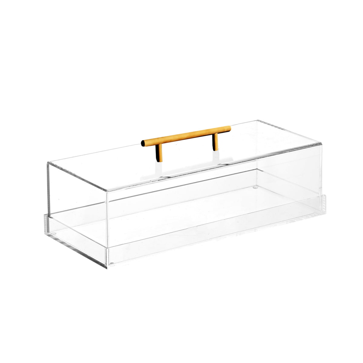 Lucite Cake Tray with Gold Handle