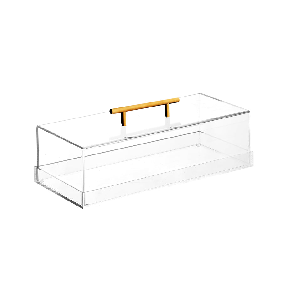 Lucite Cake Tray with Gold Handle
