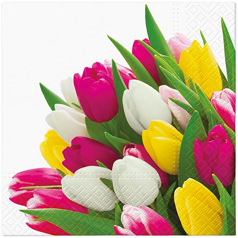 Bunch of Tulips Lunch Napkin - 20 Count - The Closeout Connection