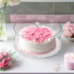 Lucite - Cake Trays